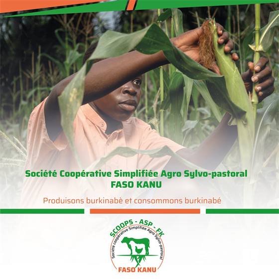 SCOOPS-ASP Faso Kanu — visuel de presentation