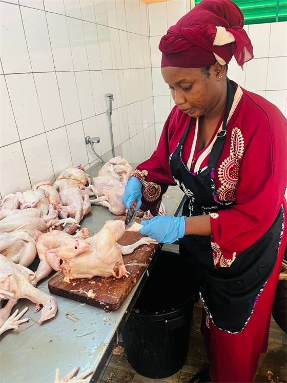 Chicken House (Ouaga & Kouba)
