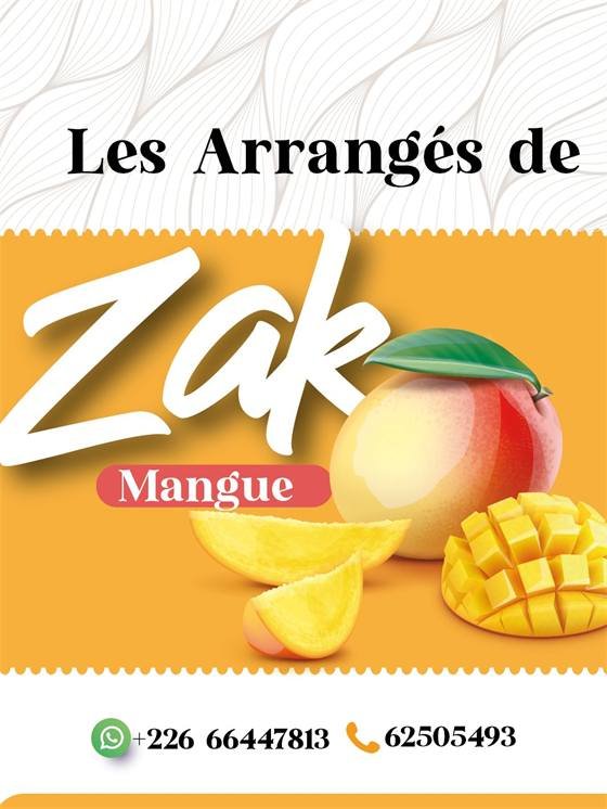 Les Arrangés de Zak — A zak 2 copie 4 300x