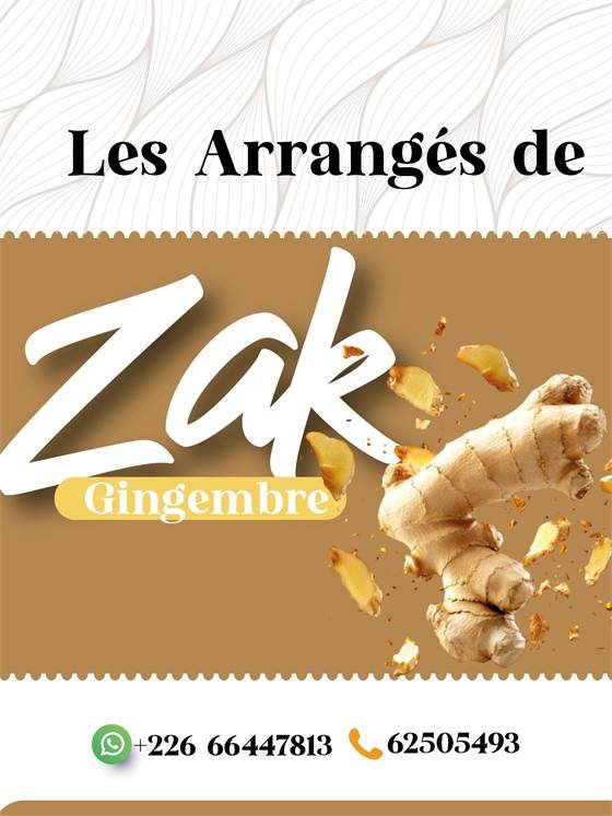 Les Arrangés de Zak — A zak 2 copie 6 300x