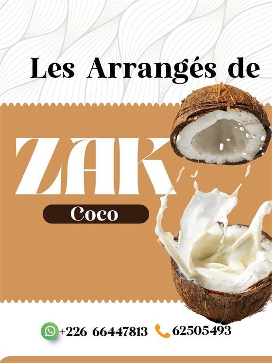 Les Arrangés de Zak — A zak copie 2 300x