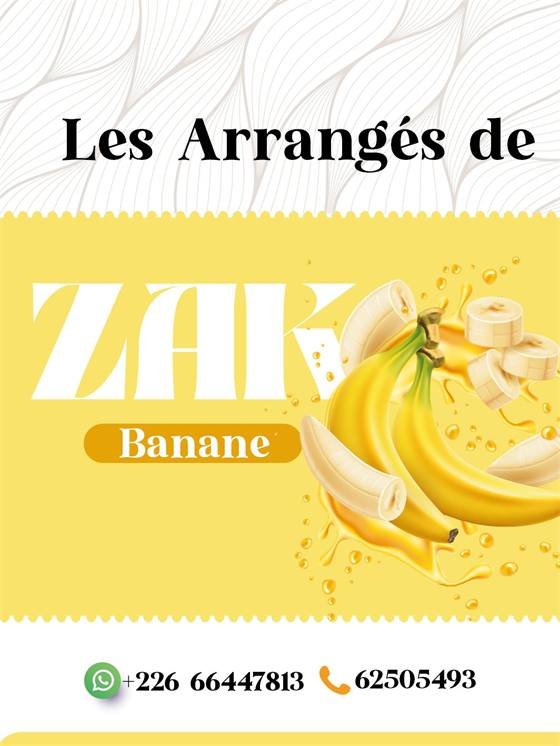 Les Arrangés de Zak — A zak copie 3 300x